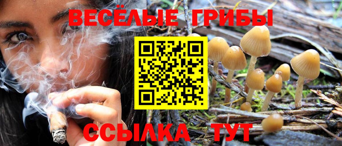 Псилоцибиновые грибы GOLDEN TEACHER Протвино