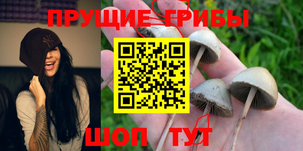 Псилоцибиновые грибы ЛСД  Вход с VPN  Протвино 
